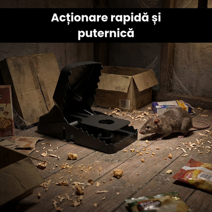 Set 6 Capcane pentru Rozătoare